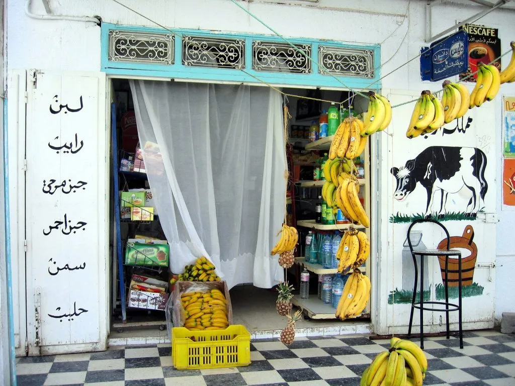 grocery shopping in a foreign country at local stores