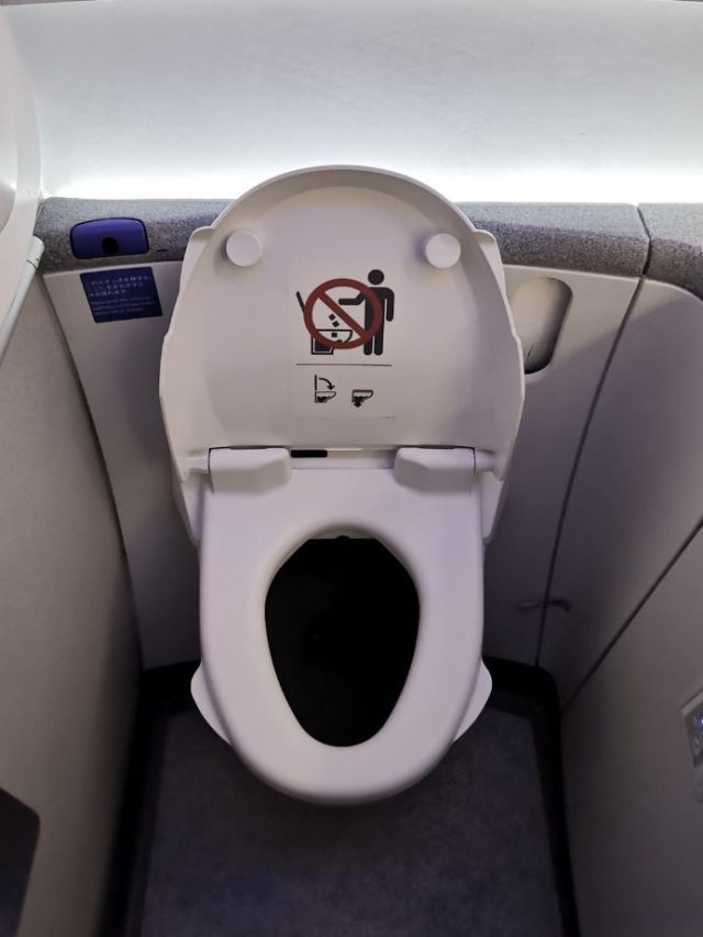 Can You Poop On a Plane?