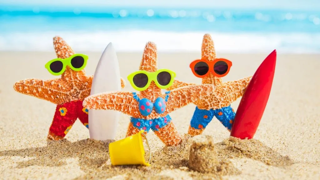 Starfish on Beaches For Family Vacations