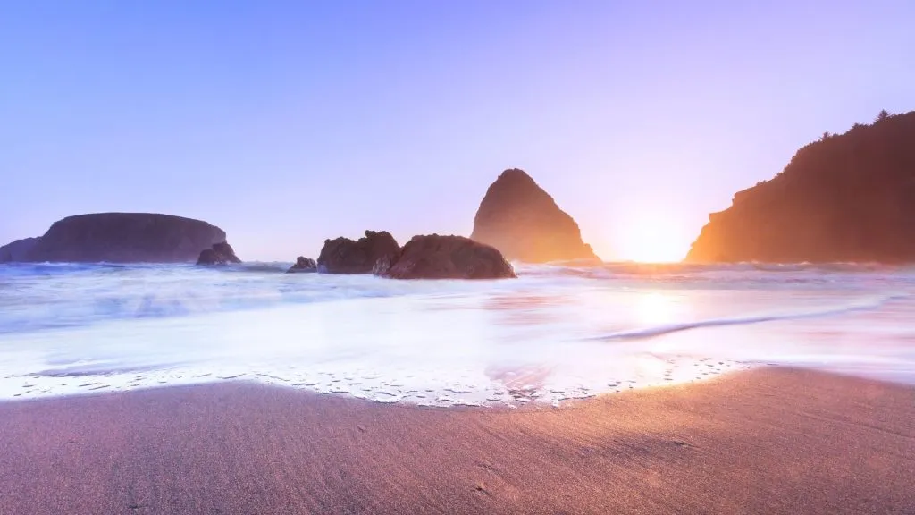 Haystack Rock Beach Trip with Kids