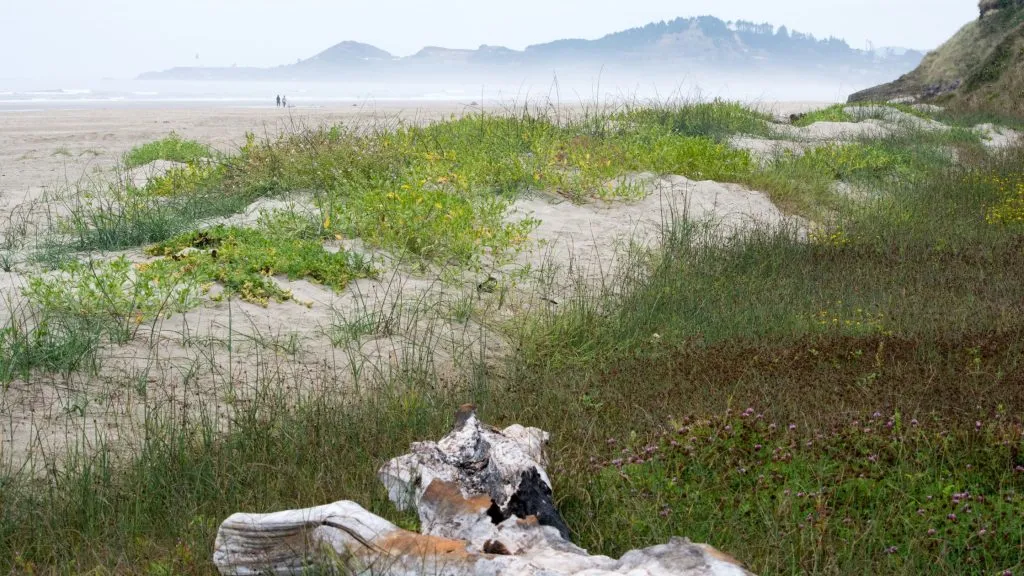 Newport Oregon Day Trip with Kids