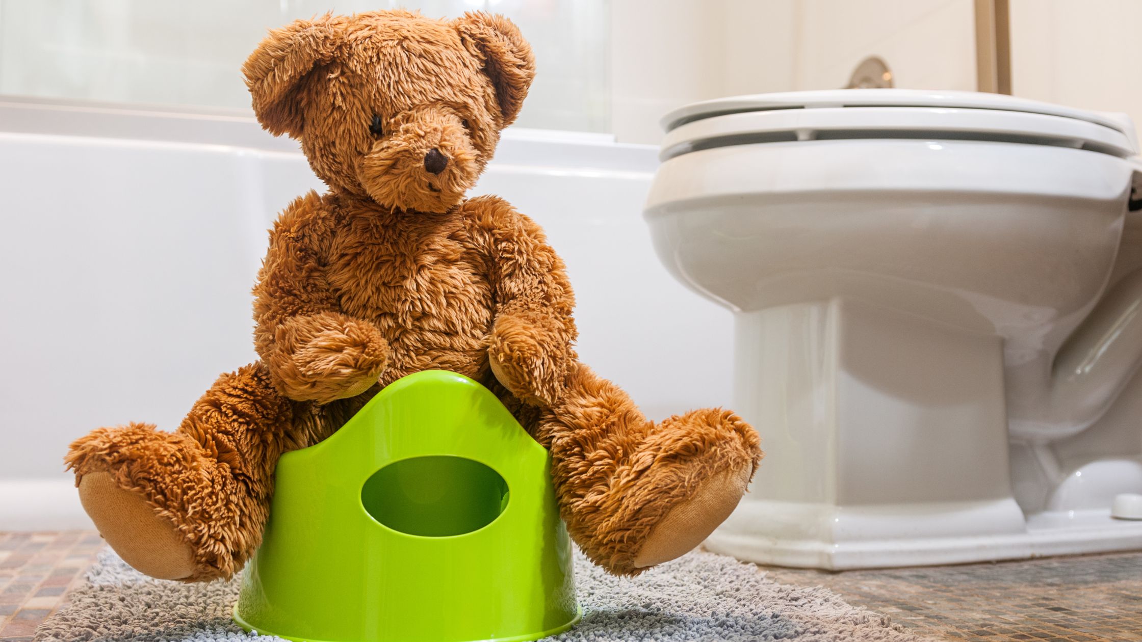 best travel potty seats for toddlers