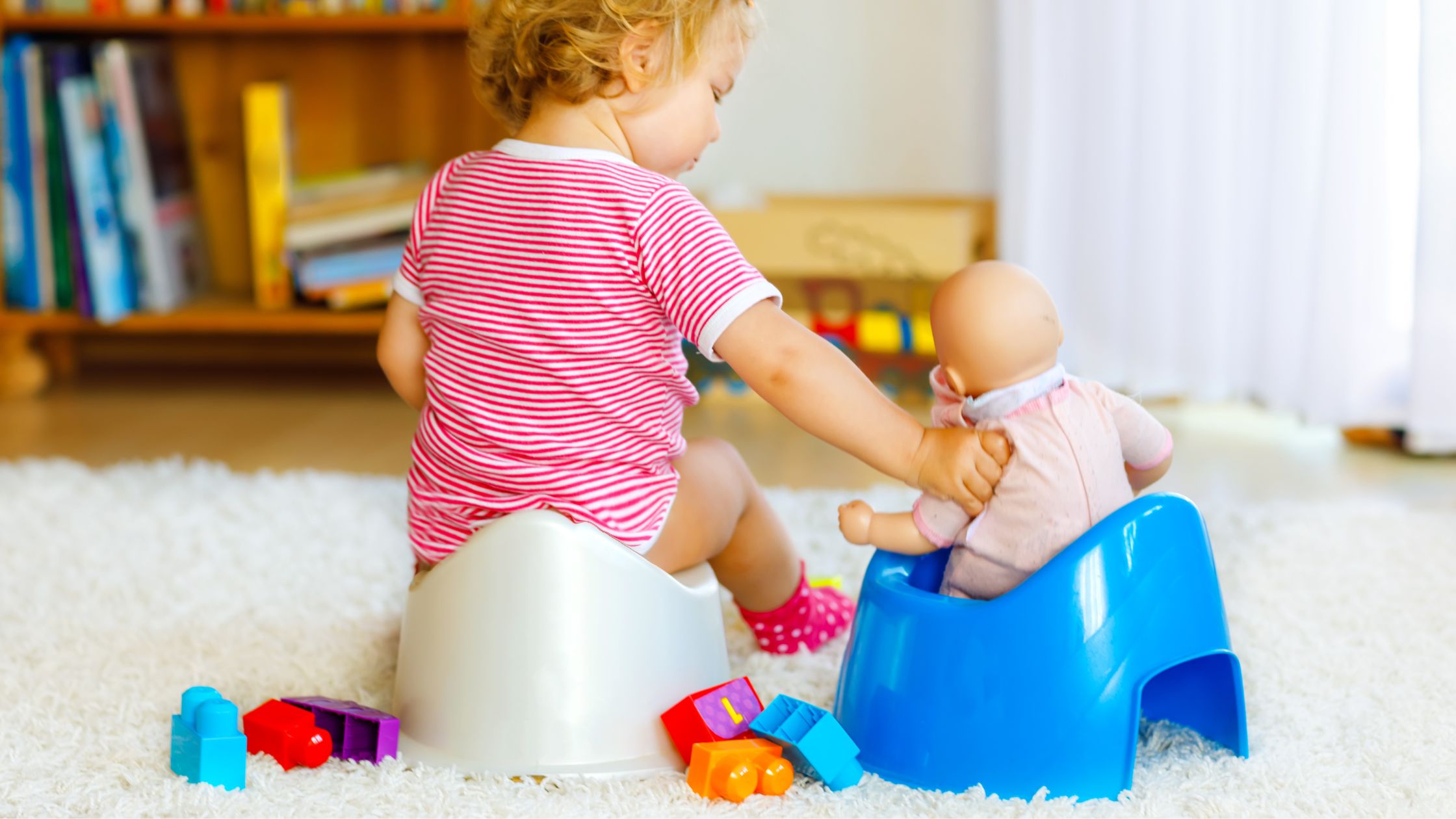 Only Travel Potty Seat for You Need for Toddlers Nomad Veronica