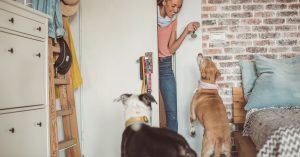 become a house sitter