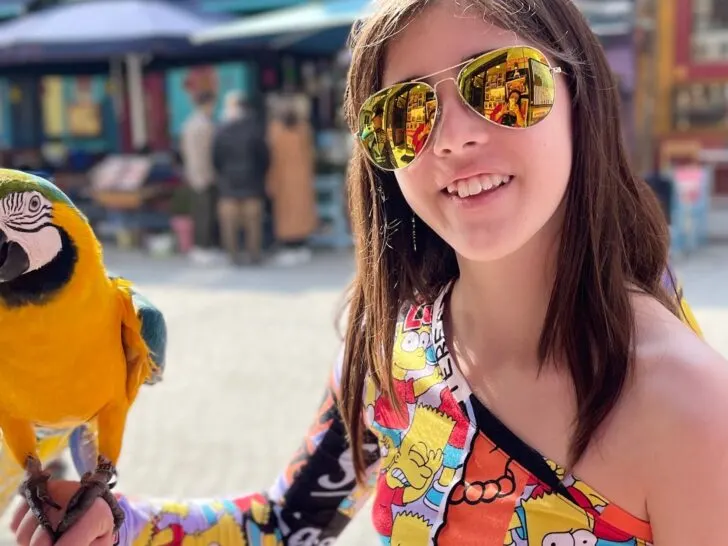 A smiling child holding a vibrant yellow-and-blue parrot at a colorful outdoor market in Istanbul. A unique and interactive experience, perfect for families exploring fun things to do in Istanbul with kids.