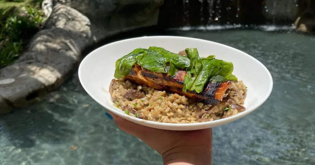 A grilled fish fillet over creamy risotto, garnished with greens, held near a natural water feature—highlighting the fresh, tropical cuisine available while living in Dominican Republic.