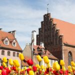 Vibrant red and yellow tulips bloom in front of historic brick and pastel-colored buildings in Riga, capturing the lively spring atmosphere of living in Latvia.