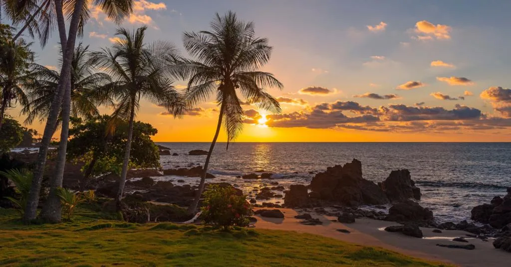 A stunning sunset over a rocky coastline with palm trees swaying in the breeze. Scenic beaches like this are a major draw for people moving to Costa Rica.